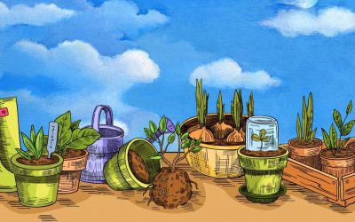 Cautiously Optimistic by Judy Klipin
